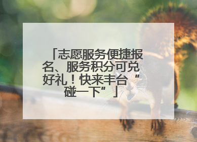 志愿服务便捷报名、服务积分可兑好礼！快来丰台“碰一下”